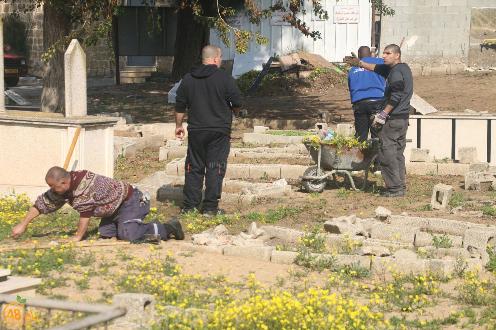 taso 23 tendedf (52).jpg